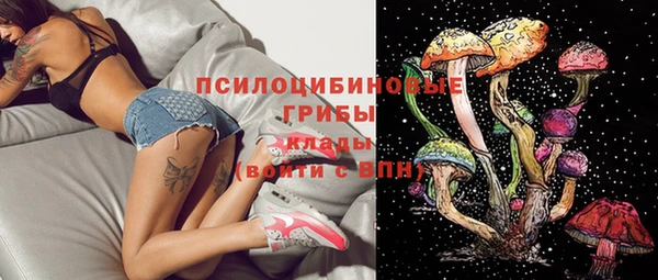 гидра Михайловск