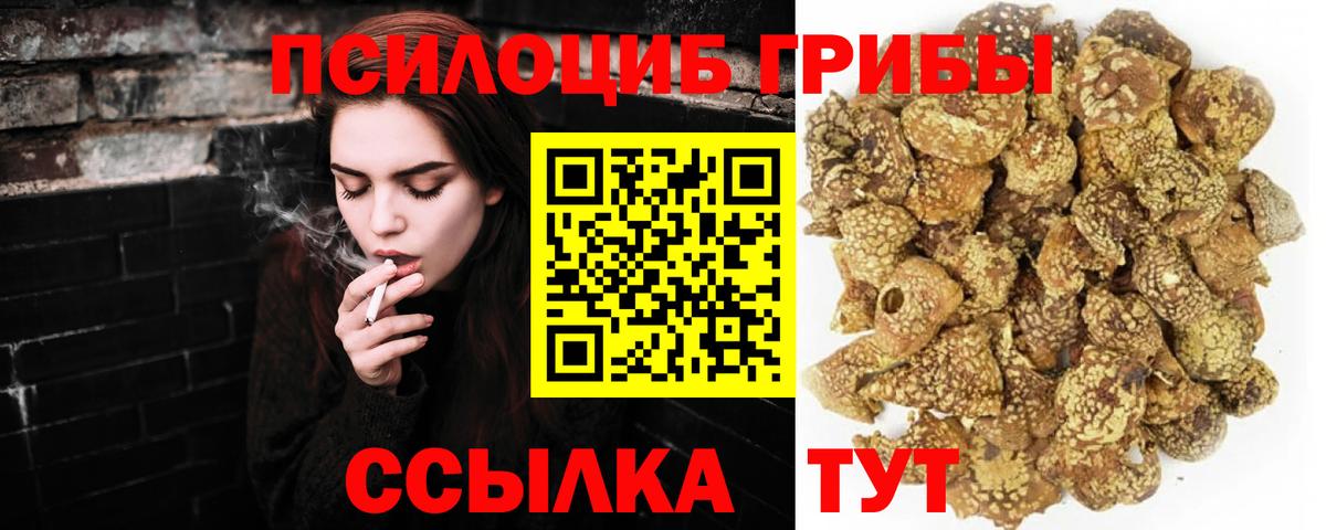 Псилоцибиновые грибы мицелий Октябрьский